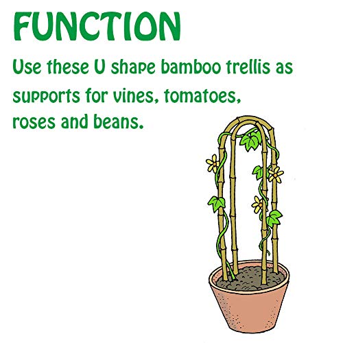 3 Feet Natural U-Hoops Bamboo, Garden Trellis, Bamboo Trellis U-Shape for Plant Support - 3 Pack - view 4