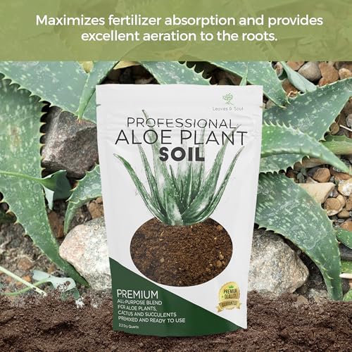 Professional Aloe Plant Soil Mix Large 2.2 Quarts Ready to Use, Premium Potting Soil for Aloe Vera Cactus Succulent Plants, Fast Draining Blend Pinebark Peat Course Sand Indoor Made in USA (Pack of 2) - view 4