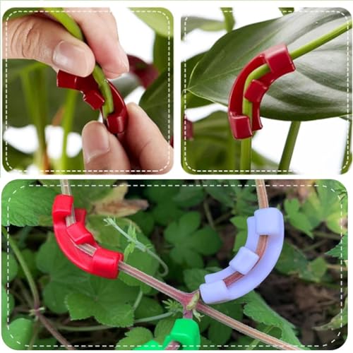 Branch bender 200pcs 90 Degree Plant Benders Trainer Growth Manipulation Tutors For Plants Clips Bending Twig Clamps Branche Accessories for Plant Bonsai Garden Home(Green) - view 5