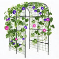 124*180*220 cm Arch Iron PE Plant Trellis with Plastic Connectors