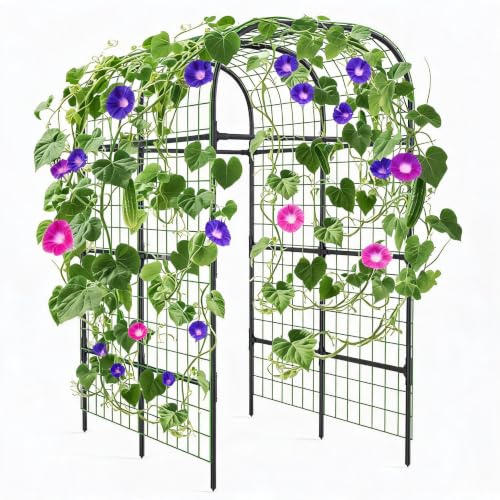 124*180*220 cm Arch Iron PE Plant Trellis with Plastic Connectors