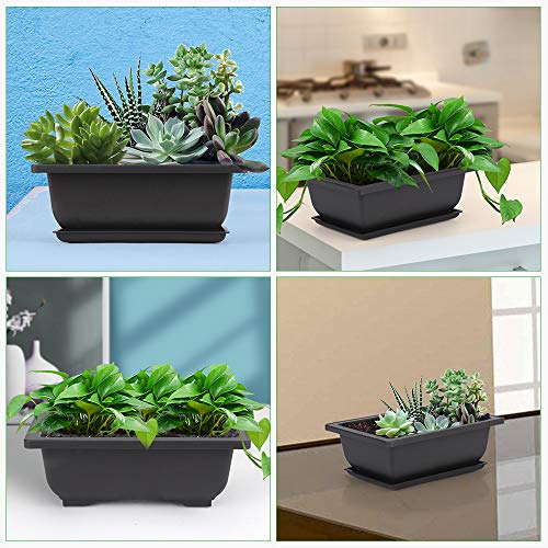 6.5 Inch Bonsai Training Pots with Drainage Holes & Trays, 6 Packs - view 6