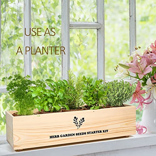 5 Herb Seeds Garden Starter Kit with Complete Planting Kit & Wooden Flower Box, Growing into Basil, Parsley, Rosemary, Thyme, Mint for Kitchen Windowsill Herb Garden DIY - view 3