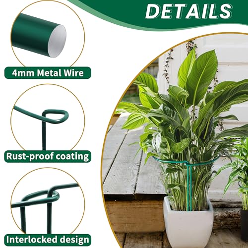 10 Pack Garden Plant Support Stakes,10" Widex16 High Heavy Duty Interlinked Half Round Peony Support Ring Cage for Indoor Outdoor Plants,Plant Supports for Peony,Tomato,Hydrangea,Rose - view 5