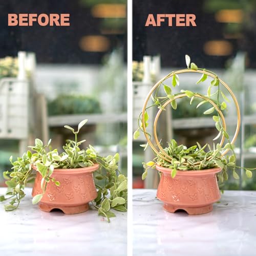 Hoya Trellis for Indoor Plants - 3PCS Stylish Metal Plant Supports - view 5