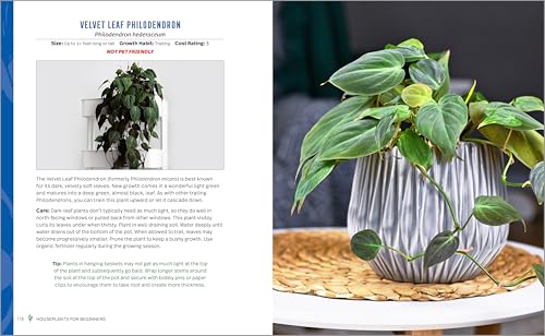 Houseplants for Beginners: A Practical Guide to Choosing, Growing, and Helping Your Plants Thrive - view 5