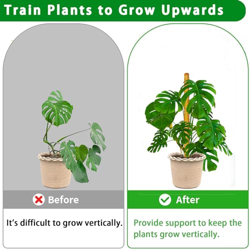 Moss Pole, 2 Pack 17 Inch Monstera Plant Support for Climbing Plants Accessories Indoor, Stackable Moss Poles Plant Support Stakes, Coir Plant Pole Sticks for Potted Plants, Pothos, Philodendron - view 5