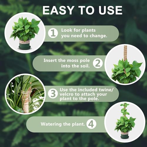 60 Inch Moss Pole, Bendable Moss Pole for Plants Monstera, Tall Moss Poles for Climbing Plants Indoor, Large Support, Garden Trellis Stick Stakes for Plants - view 6