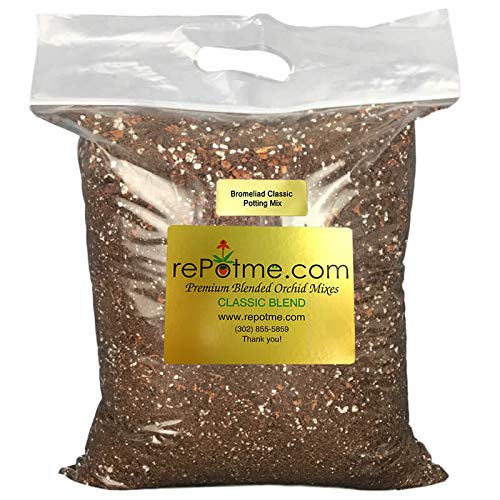 Bromeliad and Jewel Classic Potting Soil Mix - Mini Bag