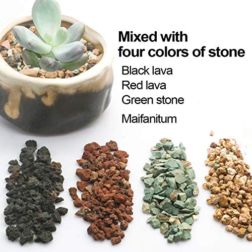 Mix Horticultural Lava Rock Pebbles Pumice Potting Soil Amendment Succulent Cactus Bonsai Gritty Rock Decorative Gravel Plant Drainage Volcanic for Terrarium Fairy Gardening Top Dressing 6lb - view 5