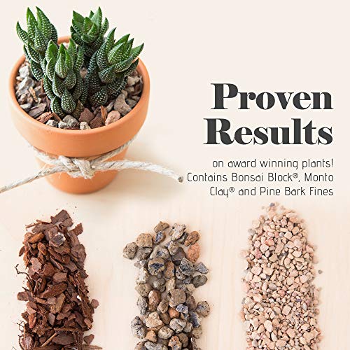 Succulent and Cactus Soil - Jacks Gritty Mix #111 - 2 Quarts – Fast Draining – Fight Root Rot – Optimized pH - view 4