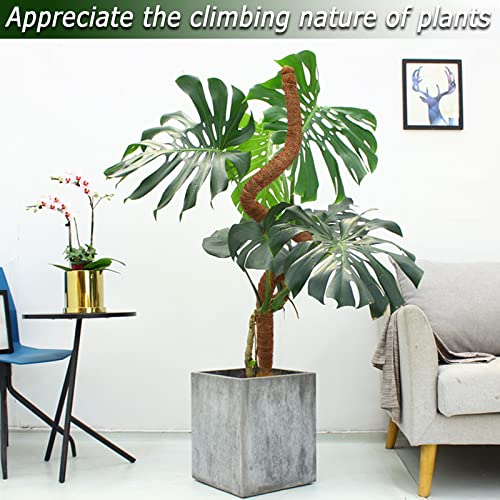 48 Inch Moss Pole, Bendable Moss Pole for Plants Monstera, Tall Moss Poles for Climbing Plants Indoor, Large Moss Pole Support, Garden Trellis Plant Stick Stakes for Potted Plants, Pothos - view 5