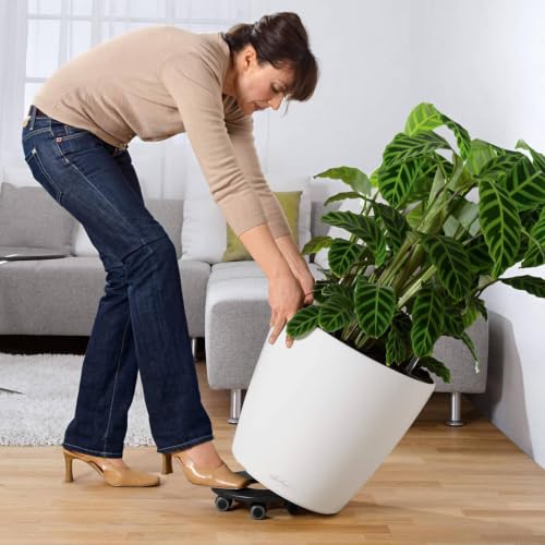 Plant Caddy with Rollers for CLASSICO/QUADRO 50, Black - view 2