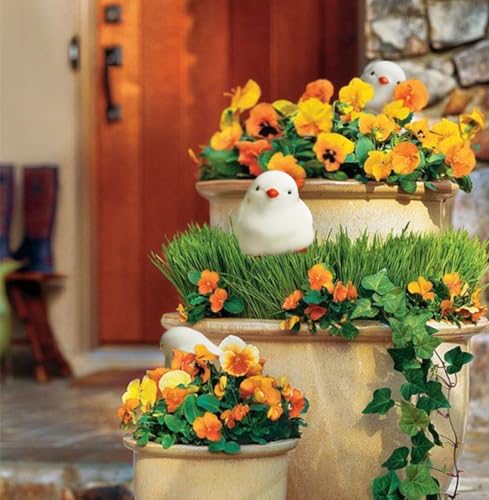 Bird Shaped Plant Watering Globes(4ps) Plants Suitable for Indoor and Outdoor Use Should be Kept Constantly Moist. The Interesting Shape Makes The Garden More Interesting and Beautiful. - view 7
