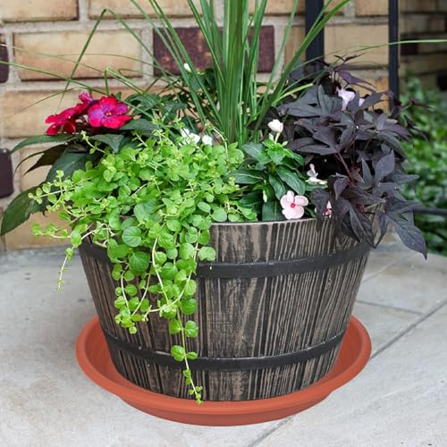 6 Pack of 12 inch Plant Saucer Plant Tray, Plastic Plant Saucer 12 inch, Heavy Duty Plant Tray for Pots, Plant Saucers for Indoors Planter, Garden Water Plate Bowls 10"/11"/12" (Terracotta) - view 7