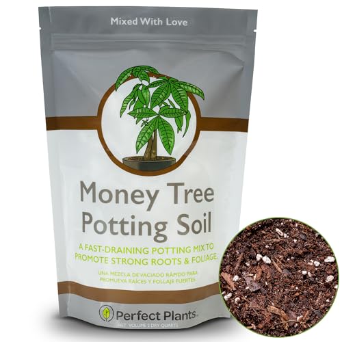 Money Tree Potting Soil, 2 qt, Indoor Coco Coir Mix
