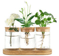 Plant Propagation Stations, 3 Pcs Glass Vases with Wooden Stand & Lid
