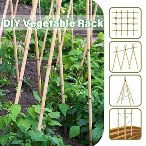 Natural Bamboo Plant Stake, 2FT, 30Pcs - view 3