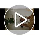 11.75oz Self-Watering Spike for Indoor Plants While Away - view 7