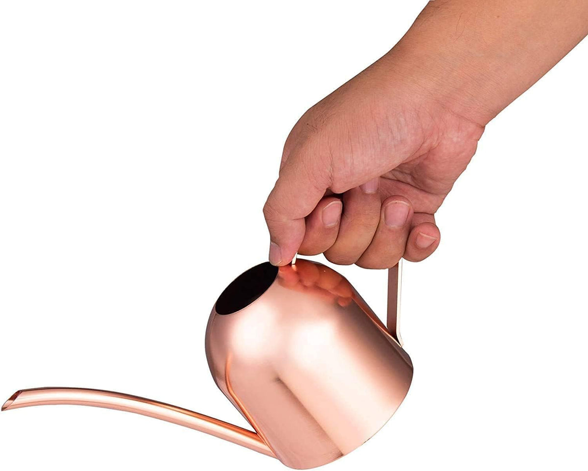 Mini Indoor Watering Can for Small Plants, Stainless Steel with Long Spout, 15oz/450ml – Perfect for Desk, Windowsill & Bonsai - view 7