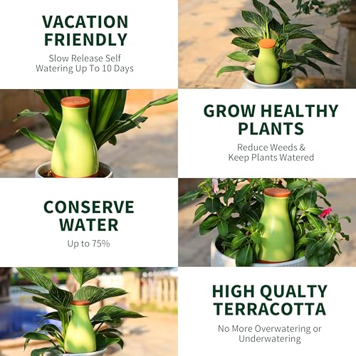 16 oz Drip Irrigation Stakes, Large Plant Watering Globes, Olla Pots Plant Watering Devices, Self Watering Planter Insert, Watering Spikes for Outdoor Indoor Everyday Vacation Use, 4-Pack - view 6