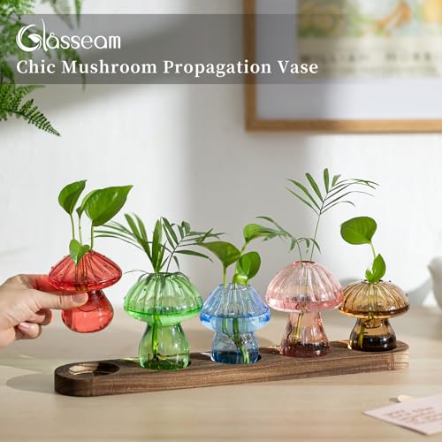 Mushroom Glass Plant Propagation Station with Wooden Stand 5Pcs - view 4