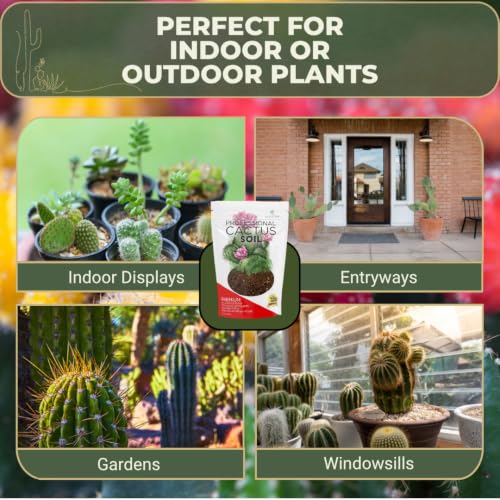 Professional Cactus Soil Mix Large 2.2 Quarts Ready to Use, Premium Fast Draining Potting Soil for Cactus and Succulents, Peat Moss Coco Coir Perlite Dolomite Blend Indoor Plant Soil Made in USA - view 5