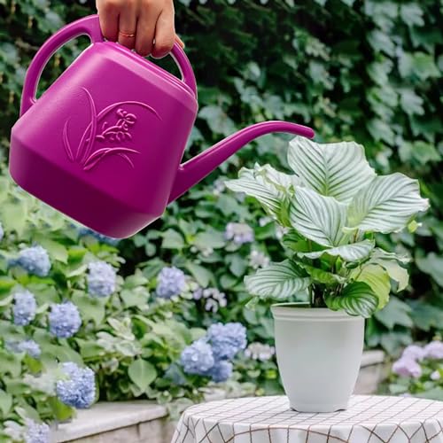 Plant Watering Can - Plastic for Indoor and Outdoor Home Plant - 1/2 Gallon - Rose Red - view 4