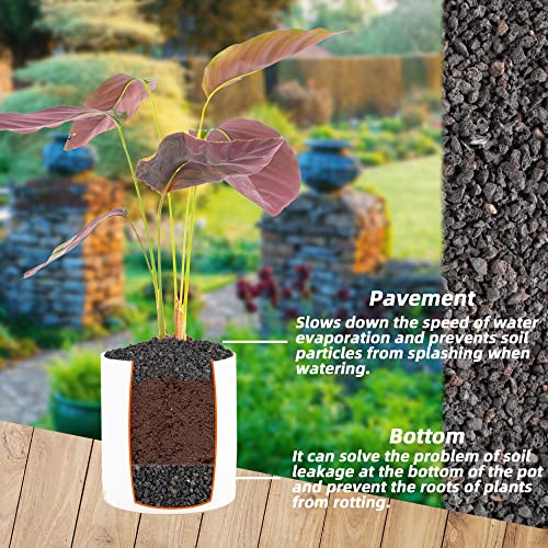 7lb Black Lava Rock for Plant, 1/8-1/4 inch Horticultural Volcanic Rock Soil for Decorative Landscaping Bonsai, Cacti, Succulents Plants Top Dressing for Release Excess Water - view 2