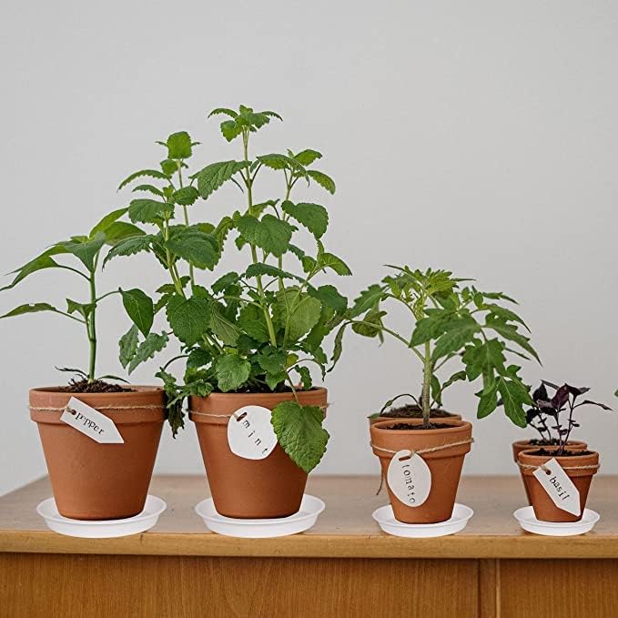6 pack plastic white plant saucers for potted plants, 4 5 6 7 8 9 10 11 12 14 inch, flower pot water trays for indoor outdoor ceramic or plastic, plant containers indoor (6", creamy white) - view 2