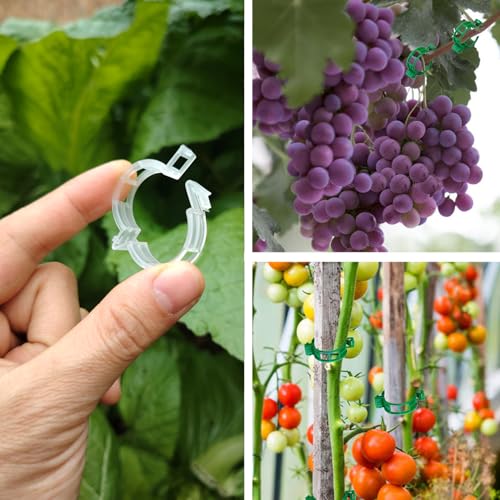 150pcs Plant Support Clips - Tomato Clips for String Trellis, Grape Vine Clips for Garden Netting Climbing Plants, Secured Plastic Plant Clip for Fixing Stem and Vine - view 3