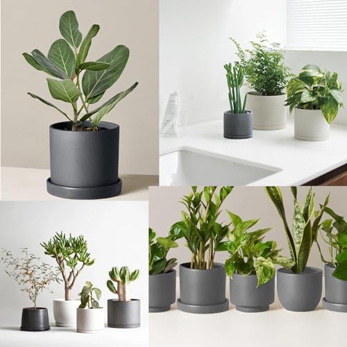 Ceramic Plant Saucer 4 Pack, 4.5 Inch Gray, Fits 4 Inch Pot Bases, Heavy Duty Glazed Drip Tray Catches Water for Indoor Outdoor Potted Plants - view 5