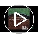 Organic Coco Coir Brick 10 lb Coconut Fiber Indoor Plant Soil - view 7