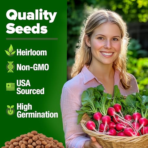 𝗨𝗦𝗔 𝗣𝗥𝗘𝗠𝗜𝗨𝗠 Cherry Belle Radish Seeds 800 & Tendersweet Carrots Seeds 2 Pack 6000 - view 3