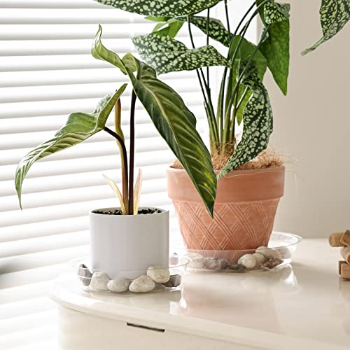 15 Pack(6 inch/8inch/10inch) Clear Plant Saucers Flower Pot Tray Excellent for Indoor & Outdoor Plants - view 3