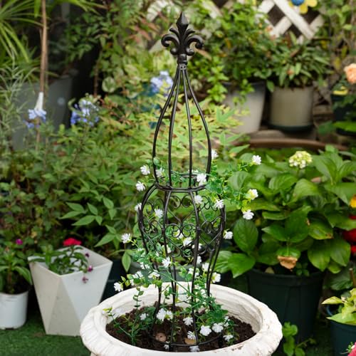 Metal Garden Trellis for Climbing Plants – 29.5" Durable Support - view 4
