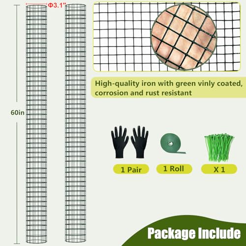 60" Metal Moss Pole, 2 Pack Moss Poles for Plants Monstera, Stackable Sphagnum Moss Pole, Plant Poles for Climbing Plants Work with Sphagnum Moss(2 Pack 60") - view 6