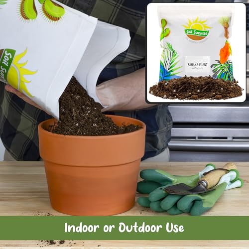 Banana Tree Potting Soil Mix (12 Quarts) – Hand-Blended Indoor/Outdoor Mix for Healthy Banana Plants – Enhances Drainage & Root Support – Made in USA - view 4