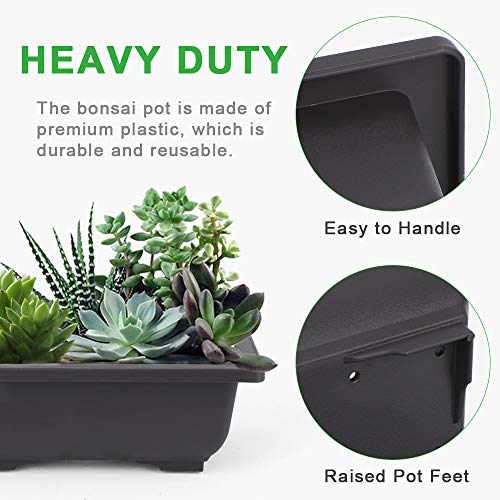 6.5 Inch Bonsai Training Pots with Drainage Holes & Trays, 6 Packs - view 4
