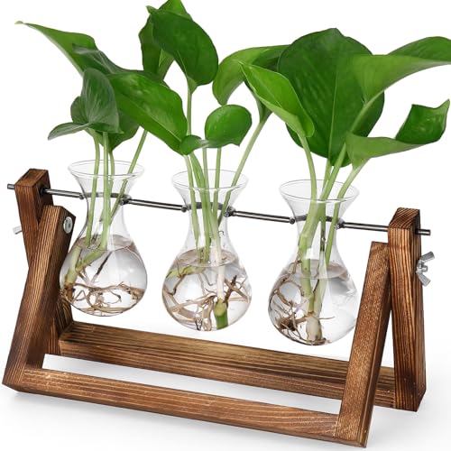 Propagation Stations,Plant Terrarium with Wooden Stand-3 Glass Vases