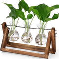 Propagation Stations,Plant Terrarium with Wooden Stand-3 Glass Vases