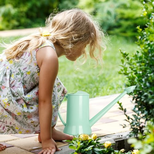Small Watering Can, 67oz (1/2 Gallon) Indoor Houseplants Green - view 6