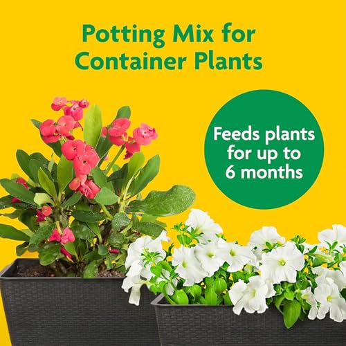 10 Pack Potting Soil Mix for Container Plants and Flowers - view 3