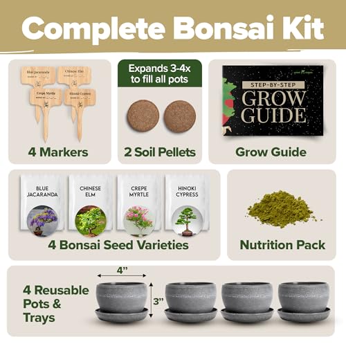 Premium 4 Varieties & 6 Bonsai Tree Starter & 4 Bonsai Tree Starter & Gold Yarrow 1,600 Seeds Kit - view 4