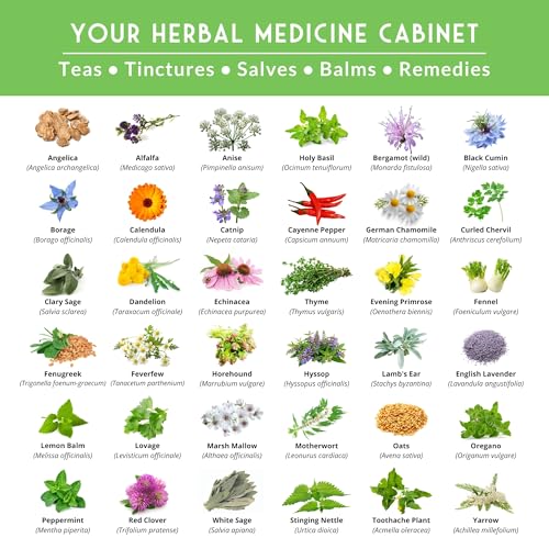 Ultimate Medicinal Herb Seeds, 36-Variety Heirloom Non-GMO Pack - view 3
