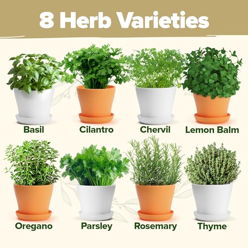 8 Herb Garden Kit, Indoor Growing Kit, Gardening Gifts for Women - view 3