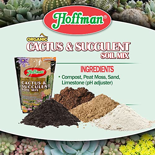 10404 Organic Cactus and Succulent Soil Mix, 4 Quarts, Brown/A - view 4