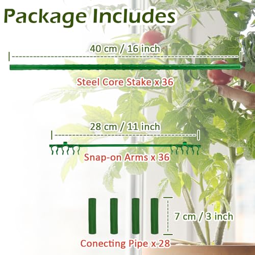 4 Pack Tomato Trellis & Cages, Plant Support Stakes for Outdoor Vertical Garden, Climbing Plants, Vegetables, Tomatoes, Cucumbers - view 2