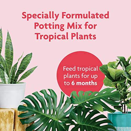 Tropical Potting Mix, 6 qt. - Growing Media for Tropical Plants Living in Indoor and Outdoor Containers - view 3