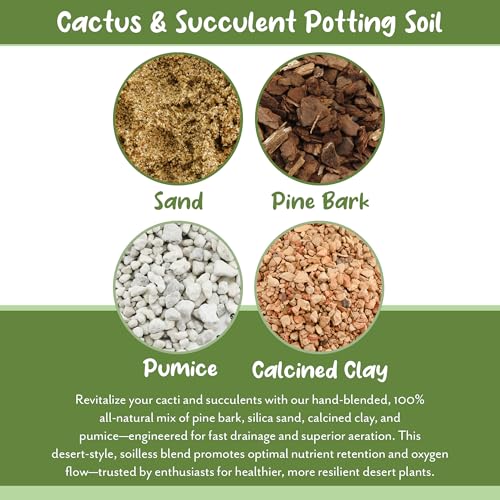 Cactus and Succulent Potting Mix (8 Quarts) Special Blend-Fast Draining and Desert-Style Gritty - view 5